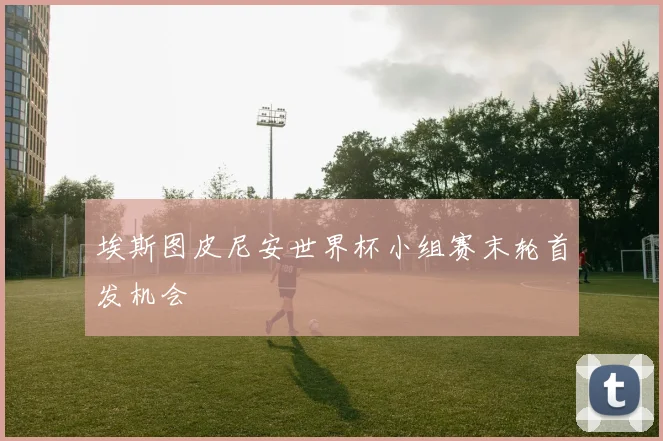 埃斯图皮尼安世界杯小组赛末轮首发机会