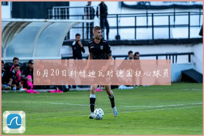 6月20日科特迪瓦对德国核心球员