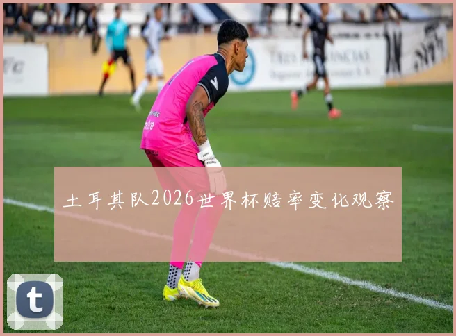 土耳其队2026世界杯赔率变化观察